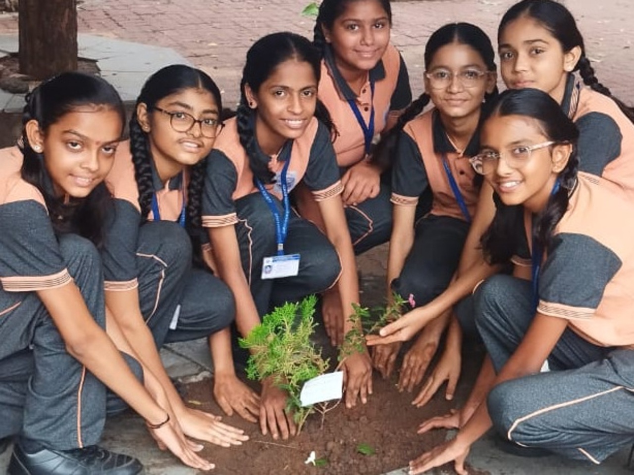 Tree Plantation (Primary)